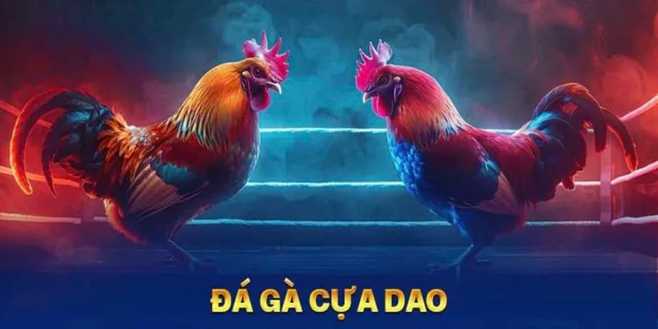 Ưu điểm nổi bật của đá gà cựa dao